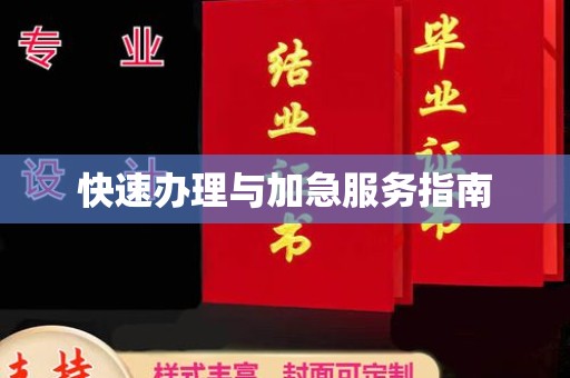 长汀快速办理与加急服务指南