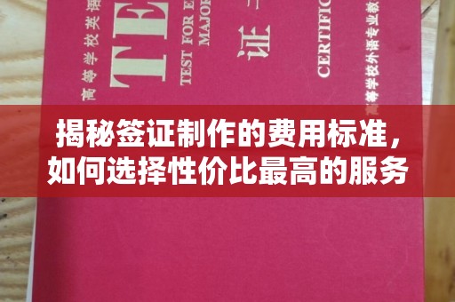 长汀揭秘签证制作的费用标准，如何选择性价比最高的服务？