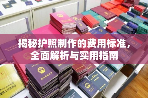 长汀揭秘护照制作的费用标准，全面解析与实用指南