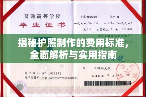 长汀揭秘护照制作的费用标准，全面解析与实用指南